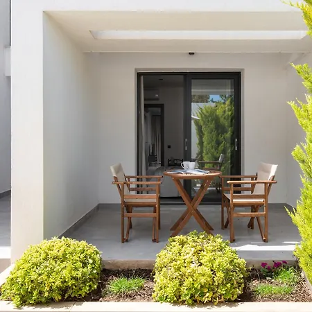 Asterias * Kallithea (Chalkidiki)